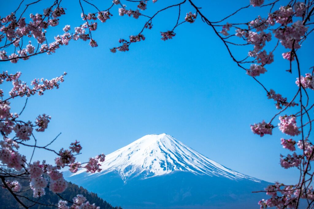 fuji